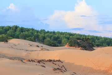 white sand dunes in mui ne vietnam