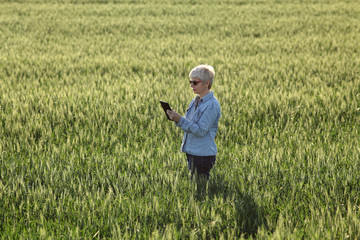 Naklejka na ściany i meble Female farmer or agronomist inspect quality of green wheat plants in field using tablet, view above, spring time