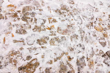 paving stone
