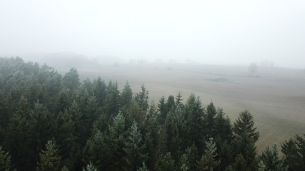road field meadow crop fog autumn gray gloomy