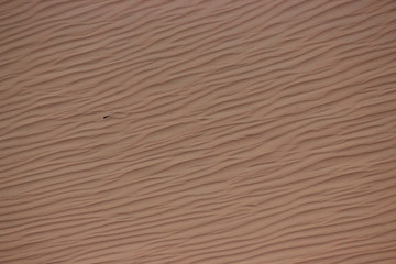 white sand dunes in mui ne vietnam