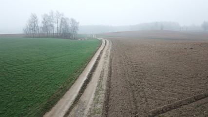 road field meadow crop fog autumn gray gloomy