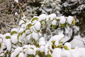 park under snow