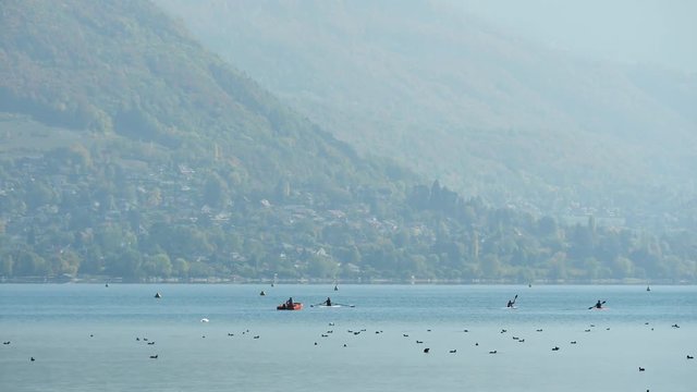 People are rowing and boating on Lake Annecy, in the Haute Savoie region. Filmed in the fall, October 2018.