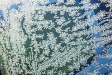 hoar on the glass