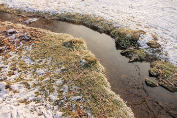 Forest stream in winter