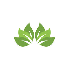 Leaf agriculture graphic design template vector illustration