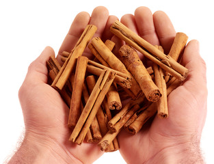 HANDFUL OF CINNAMON STICKS