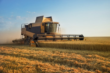 Combine harvester in action on wheat field.