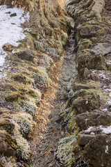 Forest stream in winter