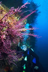 Zelfklevend Fotobehang Woman Scuba Diver explores coral reef. © frantisek hojdysz