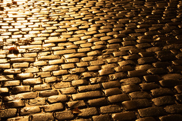 Wet old tiled pavement in reflecting golden sunset light. Rare fallen maple leaves. Autumn in Paris, France. Abstract retro background.