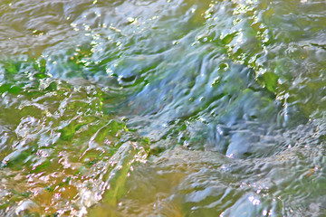 One sunny day in the village, near the house, a lot of pets, bright gorgeous flowers, fields, juicy vegetables, fruits, evening bright sparkling bonfire.