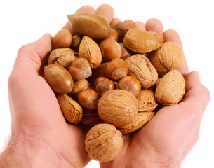 HANDFUL OF MIXED NUTS