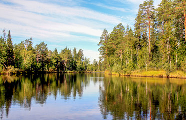 Fototapeta na wymiar Picturesque shores of the lake in Karelia