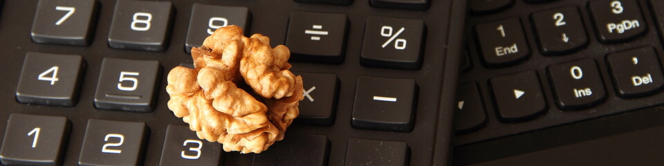 Panoramic concept of marketing, business, bookkeeping - close up walnut on the computer keyboard, brain symbol