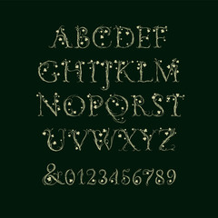 Fototapeta na wymiar Vector Alphabet. Decorative magic font for Wedding Monogram, branding, Invitation. Isolated