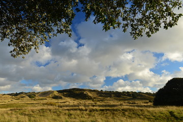 Les Mielles, Jersey, U.K.
Sand dune in Autumn.
