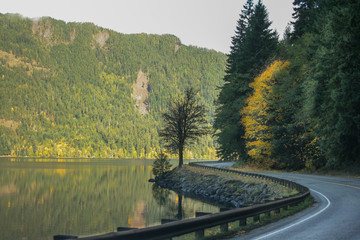 Fototapeta na wymiar winding road lake crescent Washington state