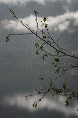 lake crescent Washington state