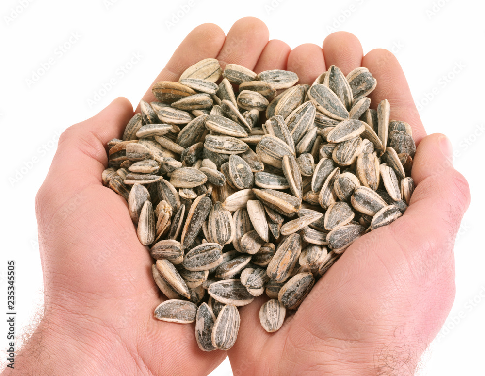 Canvas Prints handful of sunflower seeds