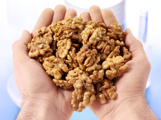 HANDFUL OF WALNUTS