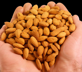 HANDFUL OF ALMONDS