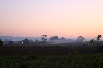 Landscape view of a field in Nepal