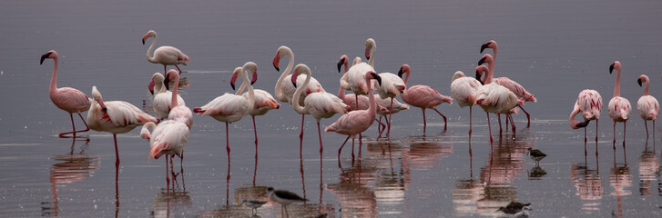 Amboseli National Park