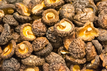 texture - dried mushrooms