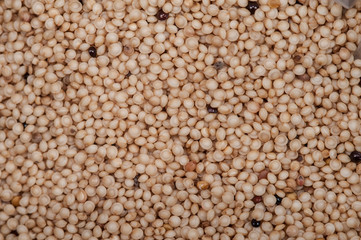 Amaranth seeds