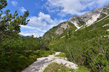 Fototapeta na wymiar Landscape of italian alps