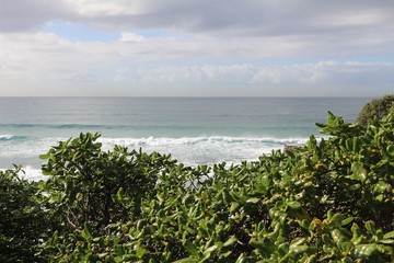 bondi beach 