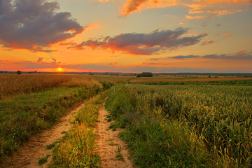 Beautiful summer sunset of rural landscape