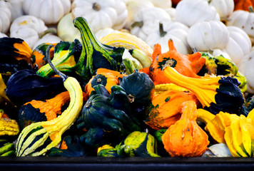 Gourds in a Market Stall