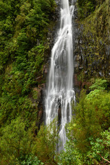 Fototapeta na wymiar Risco waterfall - madeira island