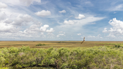 everglades national park