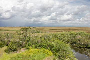 Fototapeta na wymiar everglades national park