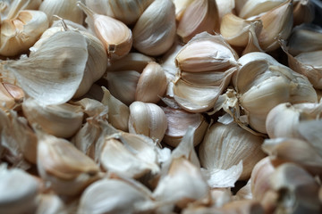 fresh raw garlic in the basket