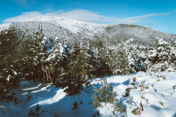 Montaña nevada en invierno