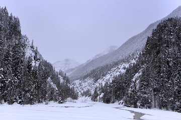 Winter in Kranjska Gora