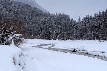 Winter in Kranjska Gora