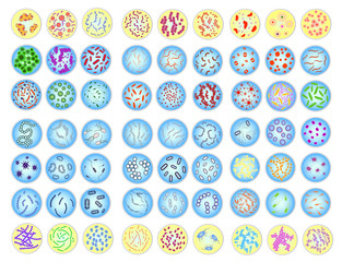 Large set of stylized images of colored bacteria in Petri dish.