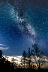 Obraz na płótnie Canvas The Milky Way galaxy above forest ( tree line )