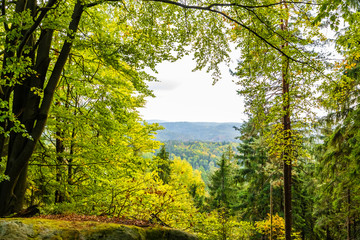 Sächsische Schweiz, Wanderweg zum Königsplatz