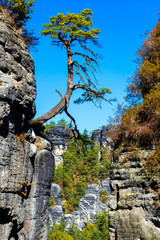 Sächsische Schweiz, Felsenburg Neurathen