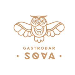 Hipster Line art Owl Logo Template