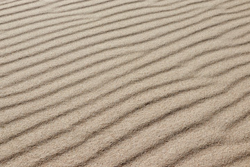 Fototapeta na wymiar Sand on the beach as a background or texture - Sand pattern formed by the wind