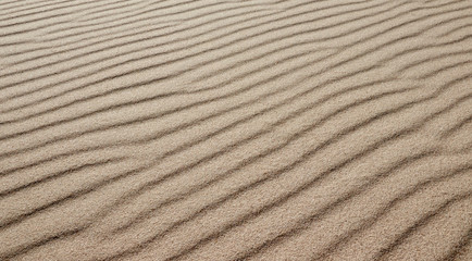 Sand on the beach as a background or texture -  Sand pattern formed by the wind