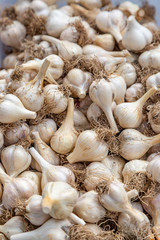 Garlic Bulbs on a Farmer's Market Stall